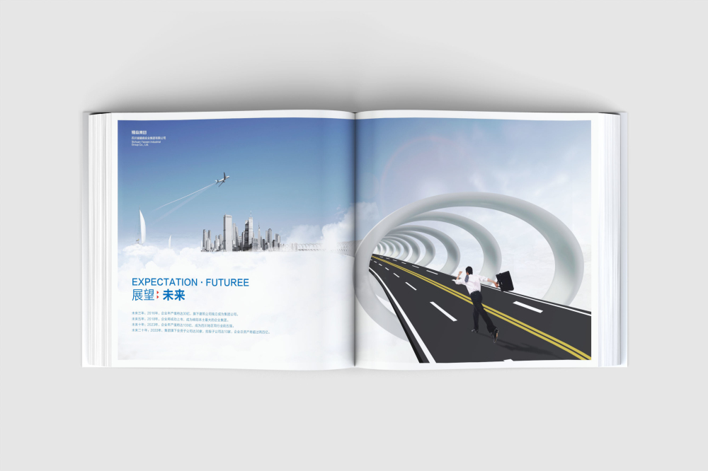 比如县画册设计